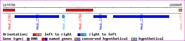 gene map