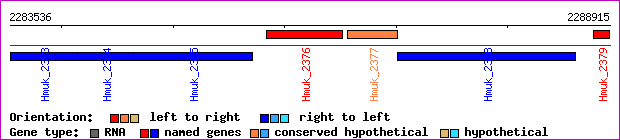 gene map