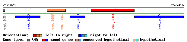 gene map