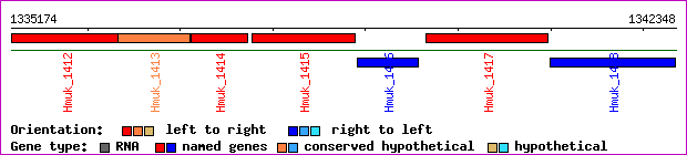 gene map