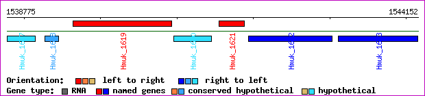 gene map