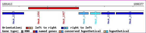 gene map