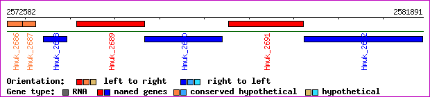 gene map