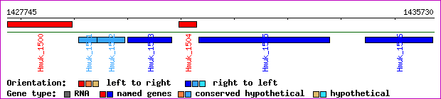gene map