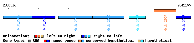 gene map