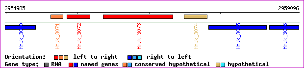 gene map