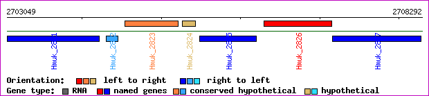gene map