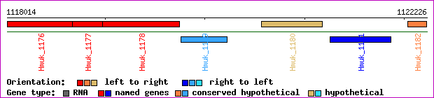 gene map