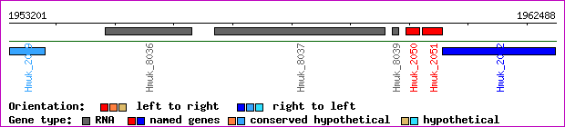 gene map