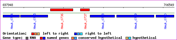 gene map