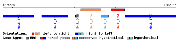 gene map