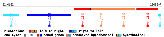 gene map