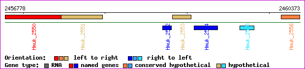 gene map