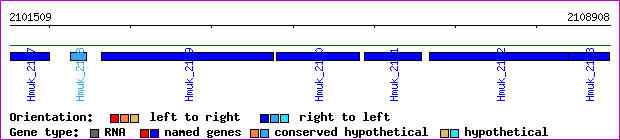 gene map