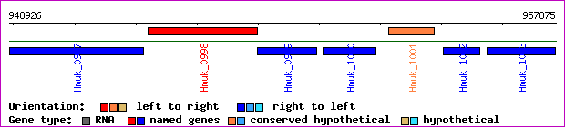 gene map