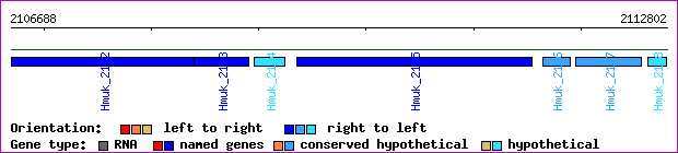 gene map