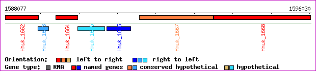 gene map