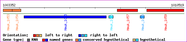 gene map