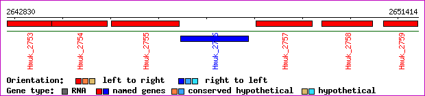 gene map