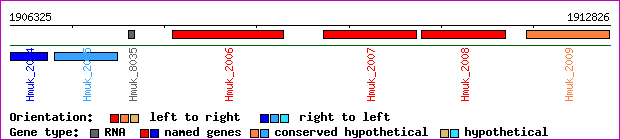 gene map