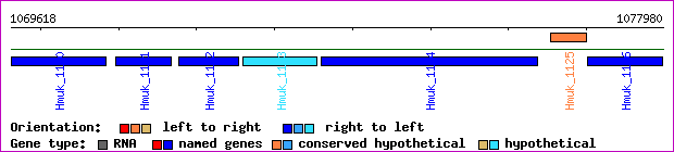 gene map