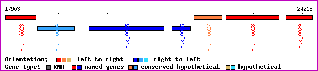 gene map
