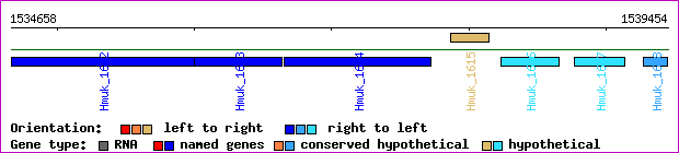 gene map
