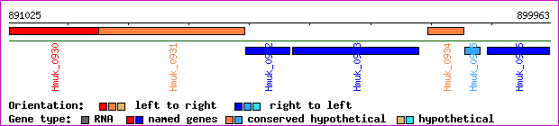 gene map