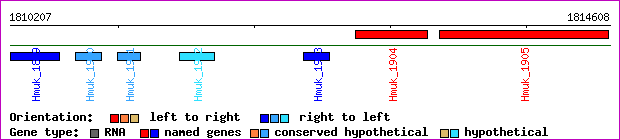 gene map