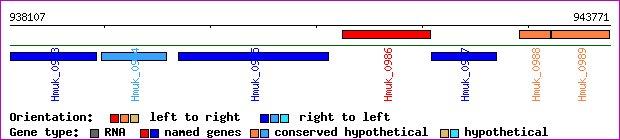 gene map