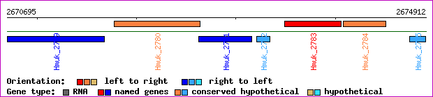 gene map