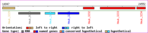 gene map