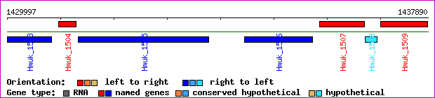 gene map