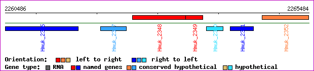 gene map