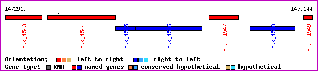 gene map