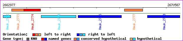 gene map