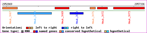 gene map