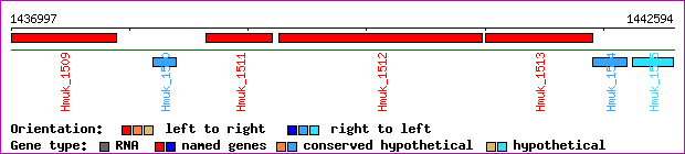 gene map