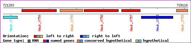 gene map