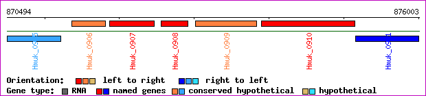 gene map