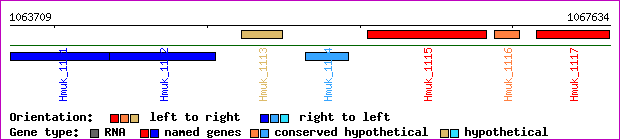 gene map