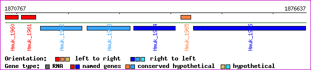 gene map