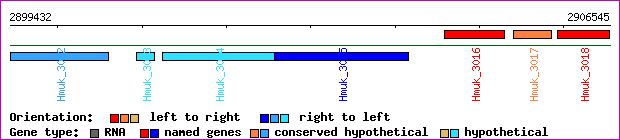gene map