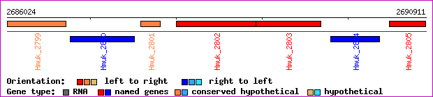 gene map