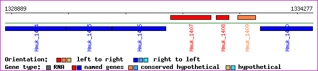 gene map