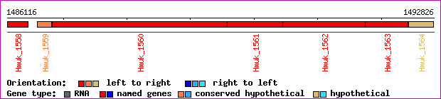 gene map