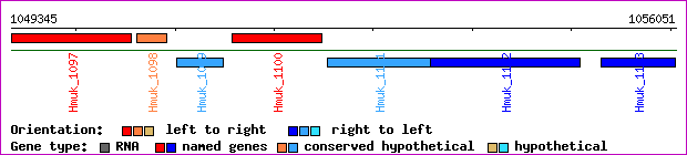 gene map