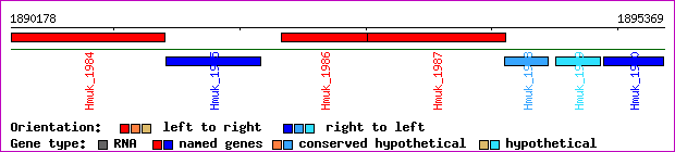 gene map