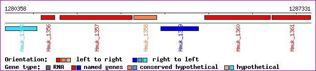 gene map