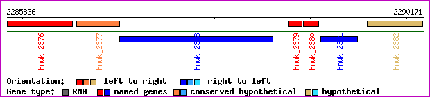 gene map
